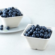 아주마 GAP 인증 산지직송 인디고 블루베리, 2개, 250g