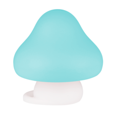 Coconory 可可艾莉 全矽膠安撫奶嘴(附奶嘴蓋), 3~6個月, 白色+薄荷綠, 1組