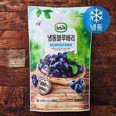 뉴뜨레 칠레산 블루베리 (냉동), 1kg, 1개