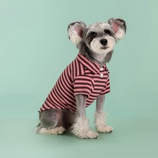 파스텔펫 반려동물 컬러 스트라이프 카라 티셔츠, 핑크, 1개