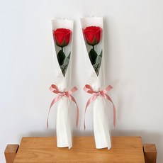 아스파시아 플르 장미 메시지 비누꽃 한송이 꽃다발 졸업 축하해 수고했어, 레드, 2개