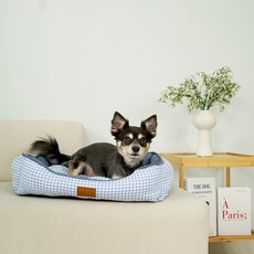 개과천선 강아지 크쿠드 사각 방석 쿠션, 빅토리아블루, 1개