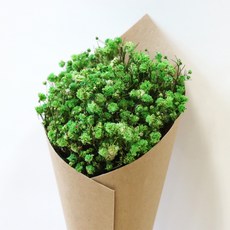 Romantic November 乾燥花滿天星迷你花束 牛皮紙, 滿天星 淺綠色