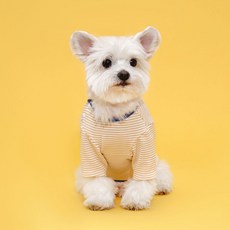 Flot 室內側邊按扣狗狗T恤, 黃色條紋