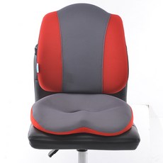 AHRCIAN 雙色記憶海綿靠墊組, 混色