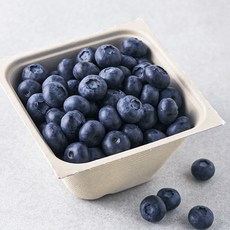아주마 산지직송 영동 대왕 블루베리, 250g, 1개