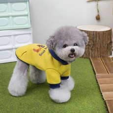 PASTEL PET 寵物字母熊連帽T恤, 黃色, 1個