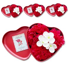 영원 비누꽃 하트 카네이션 4p 세트 X35-1, 혼합색상, 1개