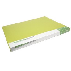 Alpha 彩色透明索引文件夾 A3 淺綠色, 1入