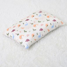 아띠블랑 인견 어린이 베개, 주라기, 1개