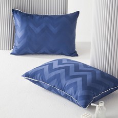 라뽐므 데인티 알러지케어 베이직 베개솜, 그레이, 2개