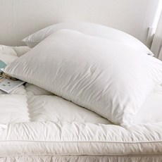아토앤알로 쉐이프 항균 진드기방지 호텔베개솜 + 베개커버세트, 화이트, 1개