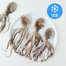 The더착한 왕주꾸미 (냉동), 1개, 1kg(중 / 200~300g)