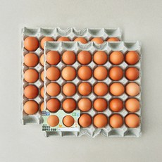 조인 동물복지 인증 무항생제 유정란 3.12kg, 1개, 60구