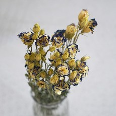 GAPANG 乾花DRYB07103, 03黃色