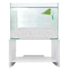 Aquatera 室內桌面架魚缸套組, 白色（魚缸）