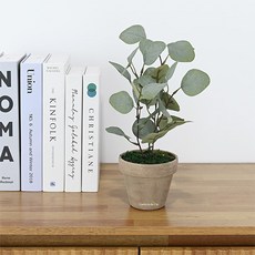 도시정원 조화 엔틱 유칼립투스 화분, 랜덤발송(토분), 1개