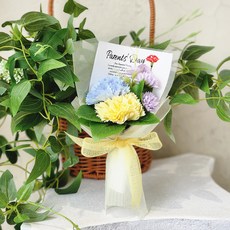 아스파시아 조화 루미 어버이날 카네이션 + 쇼핑백, 옐로우블루(조화), 1개