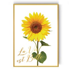 숑숑商城 向日葵海報, 向日葵D, 1個