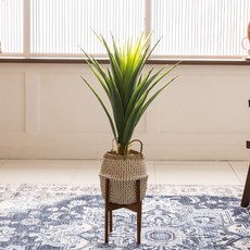 포플랜트 인조 조화나무 아가베 90cm, 혼합색상, 1개