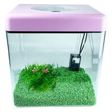 Rora Pet 壓克力方形LED魚缸+彩石+人造水草 2件組 L號, 隨機發貨（魚缸）、蘋果綠（石）