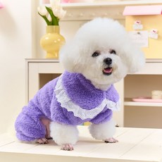 파스텔펫 반려동물 보들 빅카라 올인원, 퍼플, 1개