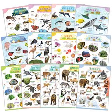 動植物圖鑑海報組 13種, 希曼托