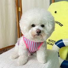 BYDAMSOOMI 狗狗連身泳衣, 粉色的