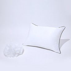 Hugard 易清洗高重量防過敏滾邊枕芯, 白色, 2個