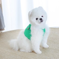 에이미러브즈펫 강아지 꽈배기 니트 크롭 나시, 그린, 1개