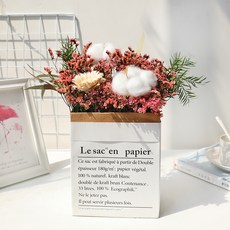 GAPANG 乾花DRYJ021+花盆, 2