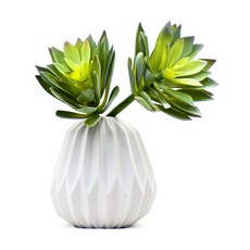 Garden in the City 人造多肉植物裝飾籤 2入, 混合色, 1個