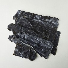 주일 무결점 해풍맞은 완도 다시마 뿌리, 1개, 700g