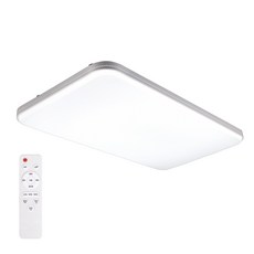 LED可變色吸頂燈 50W+遙控器, 白色的