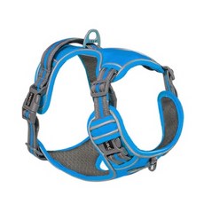 비제스코 강아지 야간 산책 가슴 하네스 VIB-23, 블루, 1개