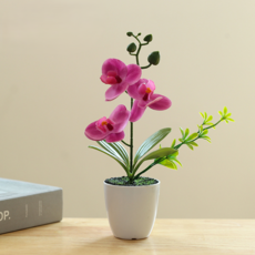 소울리치 조화 러블리한 호접란 세트, 스타일5, 1세트