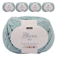 브랜드얀 블랑 뜨개실 5p, 인디 연하늘(707), 5개