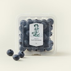 문선진 농부의 무농약 신칠라 블루베리, 100g, 1개