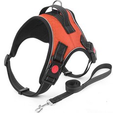 메디치트 반려견 하네스 조끼 L + 로프 세트, 오렌지, 1세트