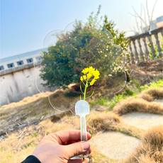 Ilsangsokbanzzak DIY透明扇子製作, 花, 20個