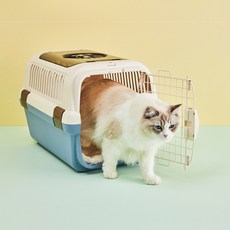 릿첼 캠핑 켄넬 이동장 더블도어, 코발트블루, 1개