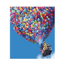 코쿼드 DIY 명화그리기 유화 세트 600 x 750 mm, 1개, H64 무지개 풍선