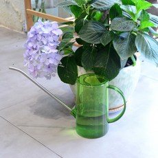 不鏽鋼水漏斗 綠色, 1個