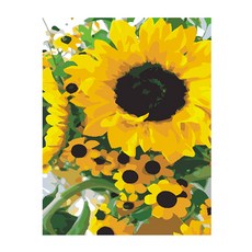 Living Duo DIY 油畫 40 x 50 厘米, A-047