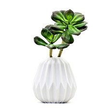 Garden in the City 多肉植物, 混色, 1個