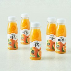 따옴 빙그레 천혜향 한라봉 청귤 주스, 235ml, 5개