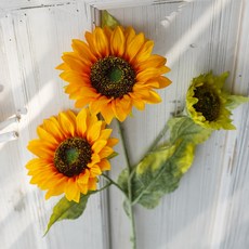 GAPANG 向日葵花束 No. 02 TESI059, 黃色的