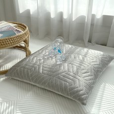 HANSGALLERY 混色涼感坐墊 含枕芯