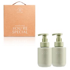 라라앤모어 핸드워시 답례품 300ml 2p + 기프트 상자 선물 세트, 그린, 1개