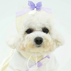 반려동물 이른 봄 매화 조바위, 옐로우, 1개